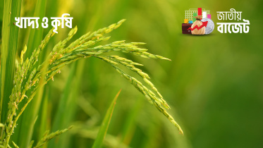 বাজেটে কৃষি আয় করমুক্ত সীমা