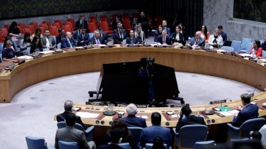 UN Security Council 
