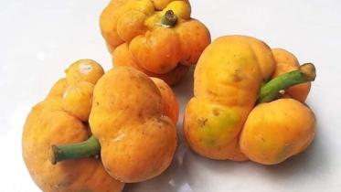 ডেউয়া ফল