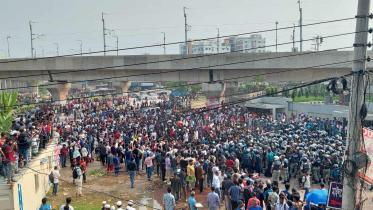 মাইলস্টোনে উপদেষ্টা অবরোধ