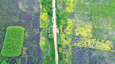 সিন্দুরিয়া