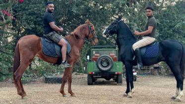 ঘোড়ায় চড়া