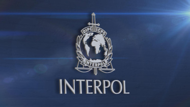 interpol.jpg