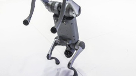 চীনা রোবট কুকুর নিজেদের দাবি করে বিতর্কে ভারতের বিশ্ববিদ্যালয়। ছবি: বিবিসি