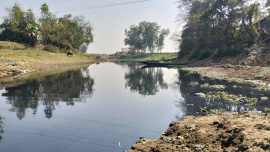 ছবি: স্টার।