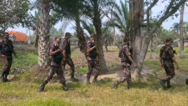 বিজিবির টহল