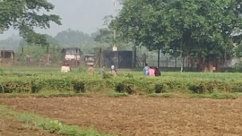 পুশ ইন
