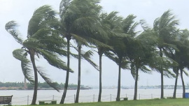 ঝড়ো হাওয়া