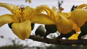 ছবি: মিন্টু দেশোয়ারা/ স্টার