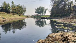 ছবি: স্টার।