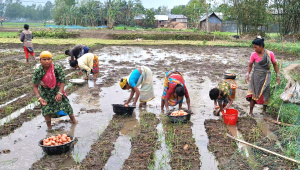 ছবি: স্টার।