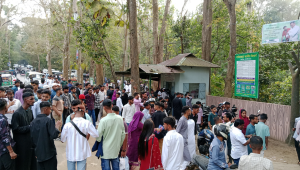 lawachara national park