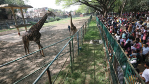 ছবি: প্রবীর দাশ/ স্টার