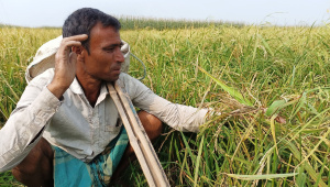 farmers