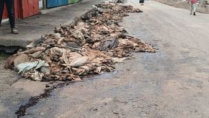 ছবি: স্টার।