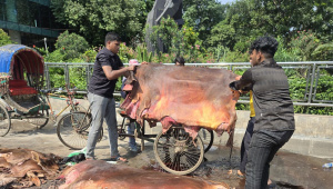 কোরবানির পশুর চামড়া সংগ্রহ করা হচ্ছে। ছবি: স্টার