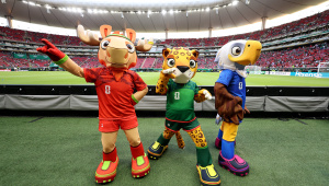 WC mascot