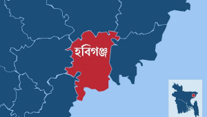 স্টার অনলাইন গ্রাফিক্স