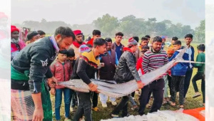 জামাই মেলা