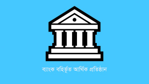 এমডি নেই এক ডজন আর্থিক প্রতিষ্ঠানে!	