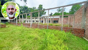 আবেদ আলীর জমি দখল