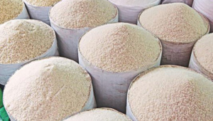 চাল আমদানি