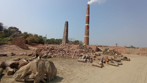 ইটভাটা, মাদারীপুর, জ্বালানি, পরিবেশ অধিদপ্তর, পরিবেশ,