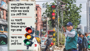 traffic_signal_19mar25.jpg