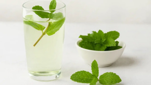 সর্দি-কাশিতে পুদিনা পাতা কি আসলেই উপকারী