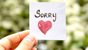 কেন ‘স্যরি’ বলা জরুরি