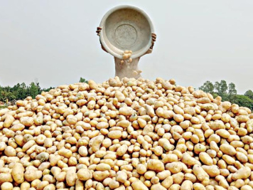 ছবি: স্টার।