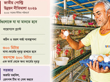 মুরগির ফার্ম