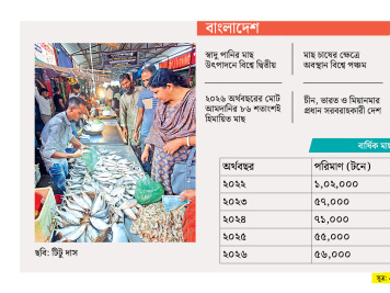 মাছ আমদানি