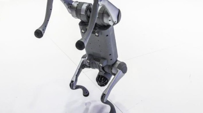 চীনা রোবট কুকুর নিজেদের দাবি করে বিতর্কে ভারতের বিশ্ববিদ্যালয়। ছবি: বিবিসি