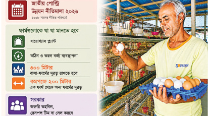 মুরগির ফার্ম