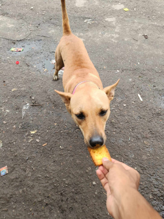 ঢাকা বিশ্ববিদ্যালয়