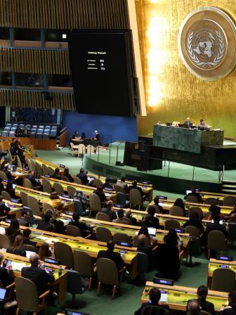 United Nations General Assembly