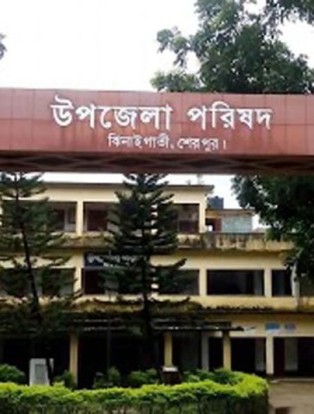 উপজেলা পরিষদ