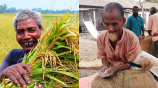 মাঠে ভালো ফলনেও হাটে গিয়ে কৃষকের হাসি ম্লান। ছবি: স্টার