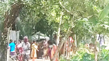 খেলা দেখা