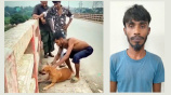নরসিংদীতে কুকুরের গলায় ইট বেঁধে নদীতে ফেলা যুবক আটক