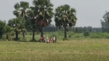 নওগাঁ সীমান্ত দিয়ে বিএসএফের পুশ ইনের চেষ্টা