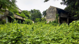 ছবি: স্টার।