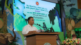 pm tree plantation