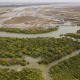 Mangrove Forest of Sonadia Dwip